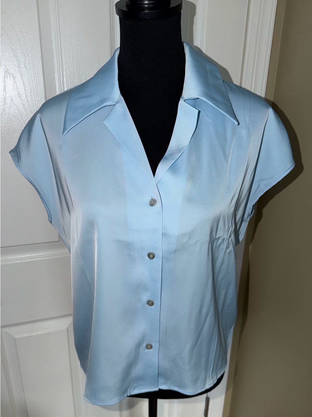 Rachel Zoe Pale Blue Cap-Sleeve Button Front Blouse